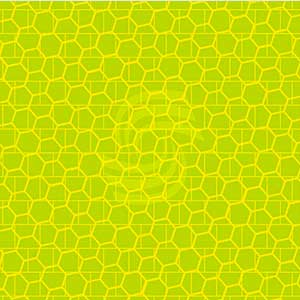 ����������������� ������ AveryDennison. ����� �7513 (0,92 �)